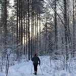 Alpesi faház Linkkumylly *