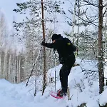 Linkkumylly Alpesi faház Mäntyharju