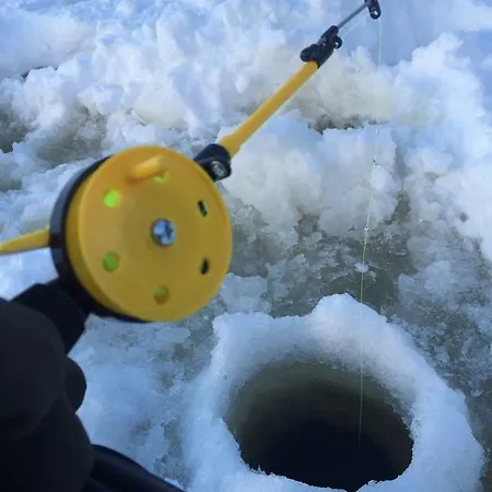 Linkkumylly Alpehytte