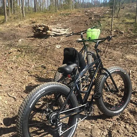 Linkkumylly Alpehytte *