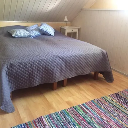 Linkkumylly Dağ evi Mäntyharju