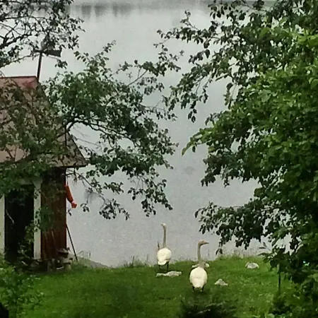 Linkkumylly Mäntyharju