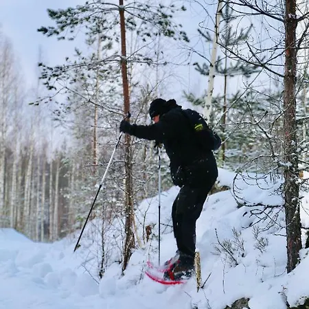 Linkkumylly Chalet Mäntyharju