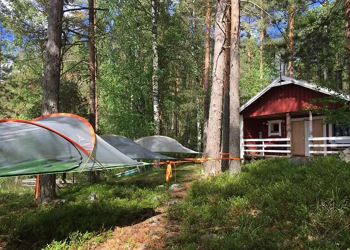 Linkkumylly Mäntyharju