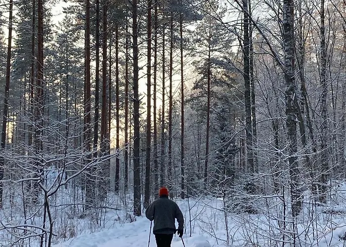 Chalet Linkkumylly *