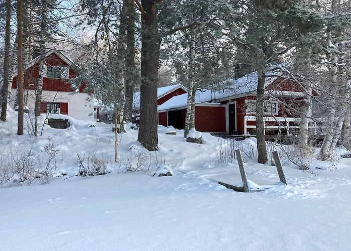 Linkkumylly Mäntyharju