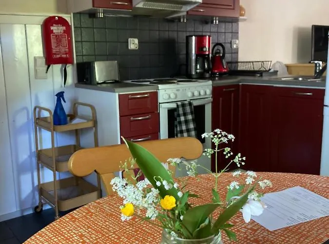 Chalet Linkkumylly Mäntyharju