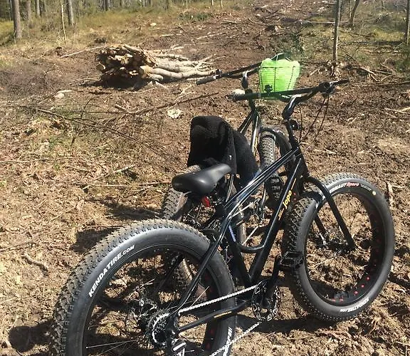 Linkkumylly Chalet *