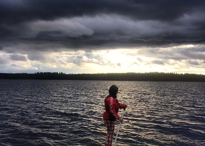 Linkkumylly * Mäntyharju