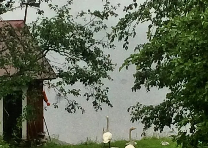 Linkkumylly Mäntyharju