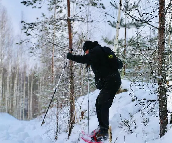 Linkkumylly Chalet Mäntyharju